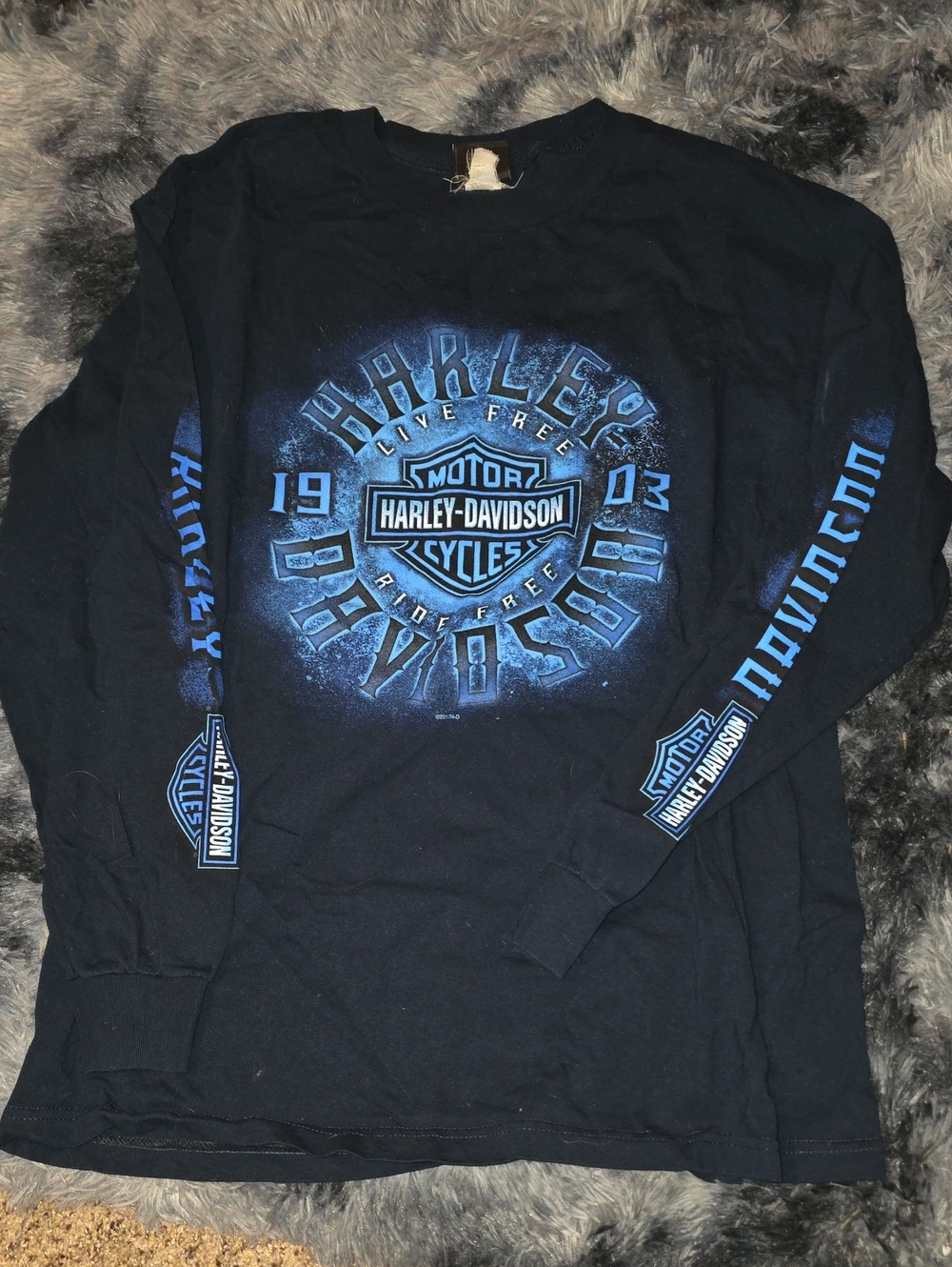 Harley-Davidson Black Long Sleeve Tee with Blue Logo